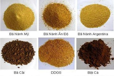Phụ gia Thức ăn Chăn Nuôi