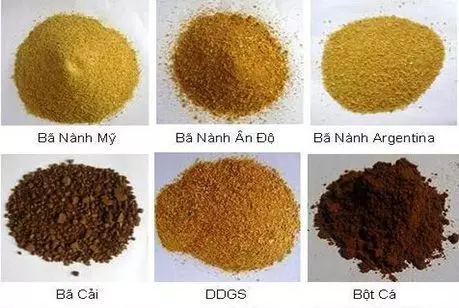 Phụ gia Thức ăn Chăn Nuôi