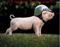 Khoáng chất trong thức ăn chăn nuôi